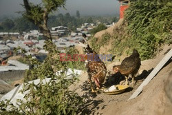 Bangladesz - obóz dla ludu Rohingya - Vu Images