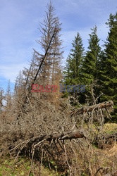 Polskie Tatry Albin Marciniak