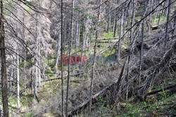 Polskie Tatry Albin Marciniak