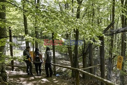 Sanktuarium dla niedźwiedzi w Grecji - AFP