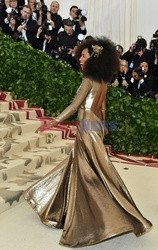 MET Gala 2018