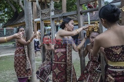 Tradycyjne walki Mekare-kare w Indonezji - Redux