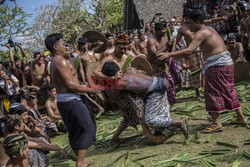 Tradycyjne walki Mekare-kare w Indonezji - Redux