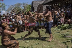 Tradycyjne walki Mekare-kare w Indonezji - Redux