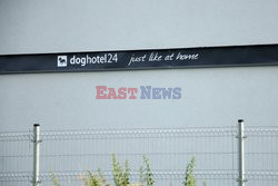 East News archiwum6