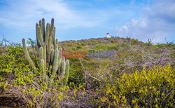 Curaçao - Sipa USA