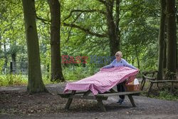 Holandia - gospodarstwo rolne dla każdego - Hollandse Hoogte