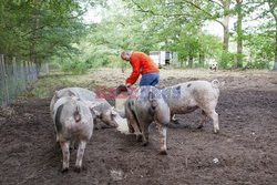 Holandia - gospodarstwo rolne dla każdego - Hollandse Hoogte