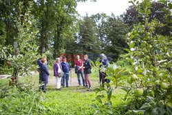 Holandia - gospodarstwo rolne dla każdego - Hollandse Hoogte