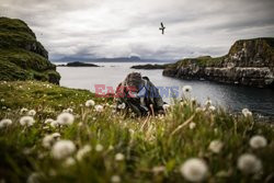 Maskonury na Islandii - NYT