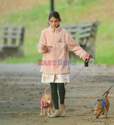 Suri Cruise na spacerze z psami