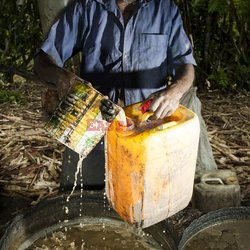 Clairin, ulubiony alkohol mieszkańców Haiti - Redux