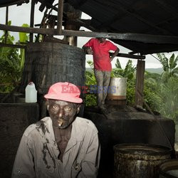 Clairin, ulubiony alkohol mieszkańców Haiti - Redux