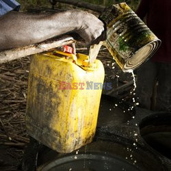 Clairin, ulubiony alkohol mieszkańców Haiti - Redux