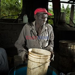 Clairin, ulubiony alkohol mieszkańców Haiti - Redux