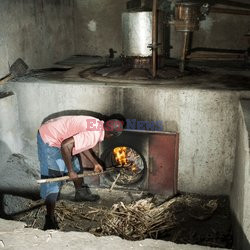 Clairin, ulubiony alkohol mieszkańców Haiti - Redux