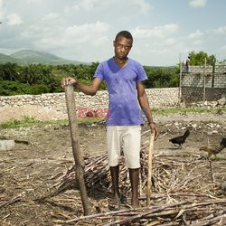 Clairin, ulubiony alkohol mieszkańców Haiti - Redux