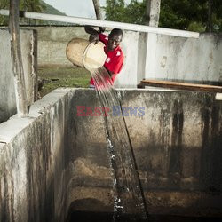 Clairin, ulubiony alkohol mieszkańców Haiti - Redux