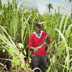 Clairin, ulubiony alkohol mieszkańców Haiti - Redux