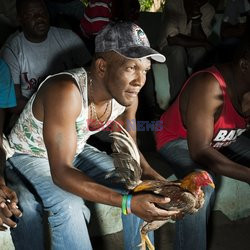 Clairin, ulubiony alkohol mieszkańców Haiti - Redux