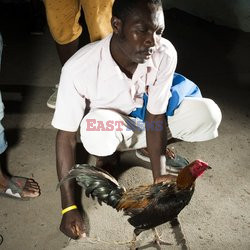 Clairin, ulubiony alkohol mieszkańców Haiti - Redux