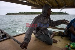 Myanmar - morskie żółwie zielone - AFP