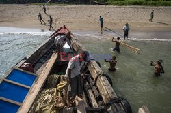 Myanmar - morskie żółwie zielone - AFP