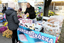 Wszystkich Świetych na Powązkach