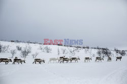 Lud Sami z północnej Norwegii - NYT