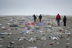 Holandia - uprzątanie plaży z towarów zgubionych przez kontenerowiec - Hollandse Hoogte