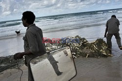 Zanieczyszczone plaże w Australii - VU Images