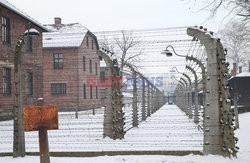 74. rocznica wyzwolenia Auschwitz