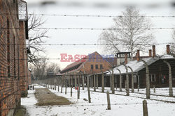 74. rocznica wyzwolenia Auschwitz