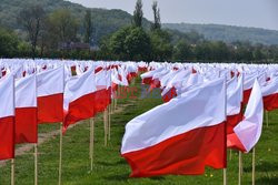 Stock Albin Marciniak