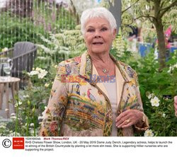 Judy Dench na Chelsea Flower Show