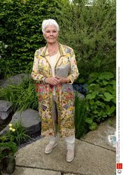 Judy Dench na Chelsea Flower Show