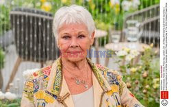 Judy Dench na Chelsea Flower Show