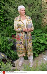 Judy Dench na Chelsea Flower Show