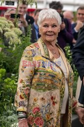 Judy Dench na Chelsea Flower Show