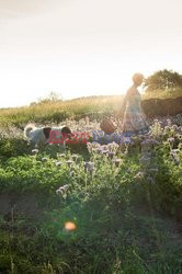 Ziołowy raj - Sunray Photo