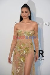 Cannes 2019 - impreza amfAR