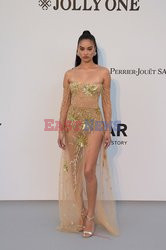 Cannes 2019 - impreza amfAR