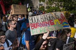 Reportaż- Climat strike- Nina Berman- Noor