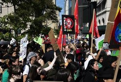 Reportaż- Climat strike- Nina Berman- Noor