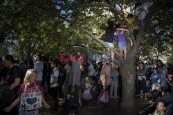 Reportaż- Climat strike- Nina Berman- Noor