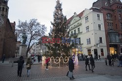 Świąteczne iluminacje w kraju