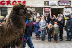 Orszaki Trzech Króli w Polsce