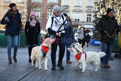 28. Finał WOŚP 2020