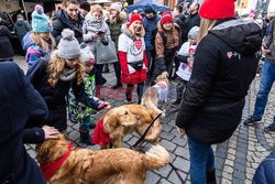 28. Finał WOŚP 2020