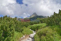 Tatry Słowackie Albin Marciniak